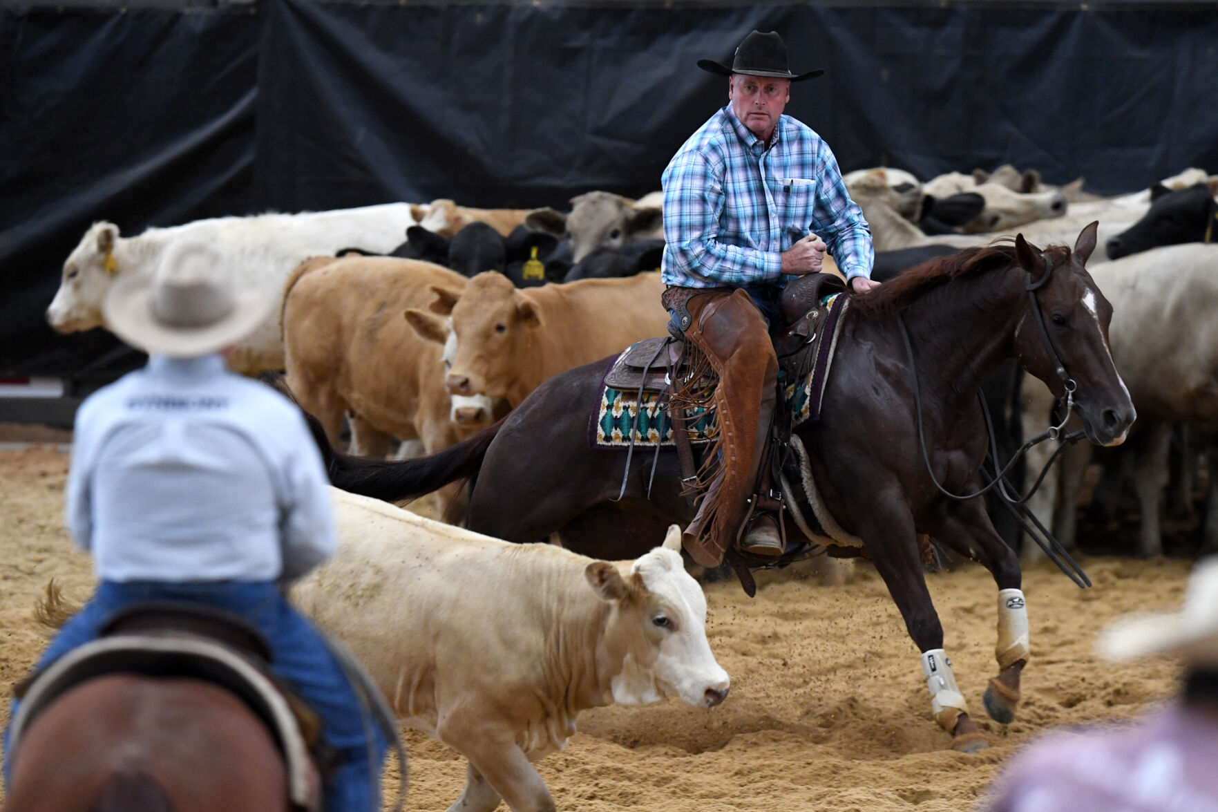 Michelle Lynn Holsey Foundation NCHA Cutting & Benefit